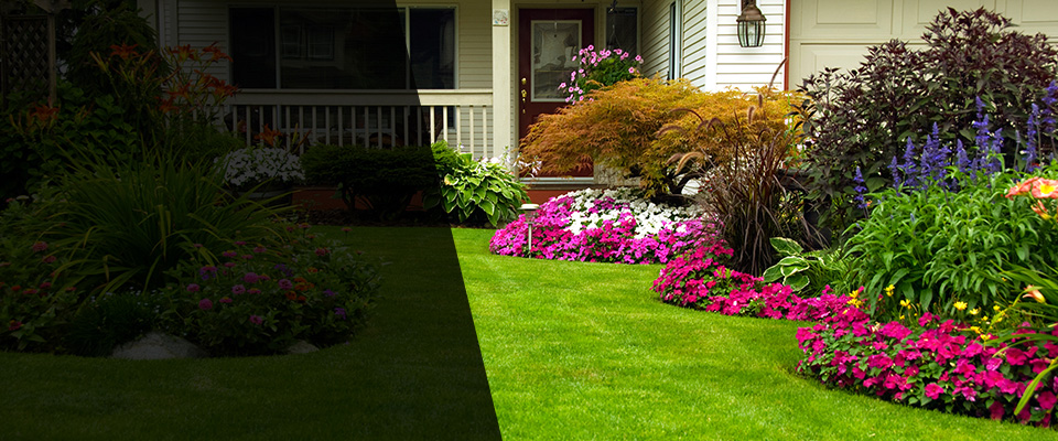 Rosedale Landscapers