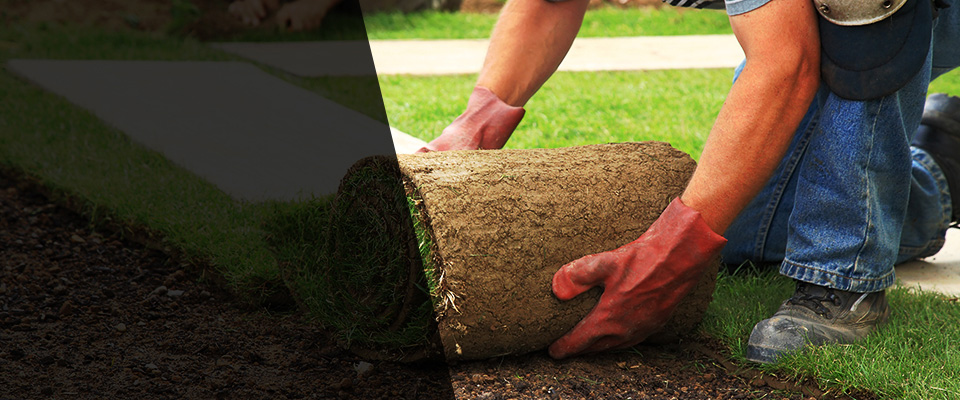 Rosedale Landscapers