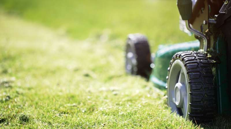New Lawns & Lawn Repair